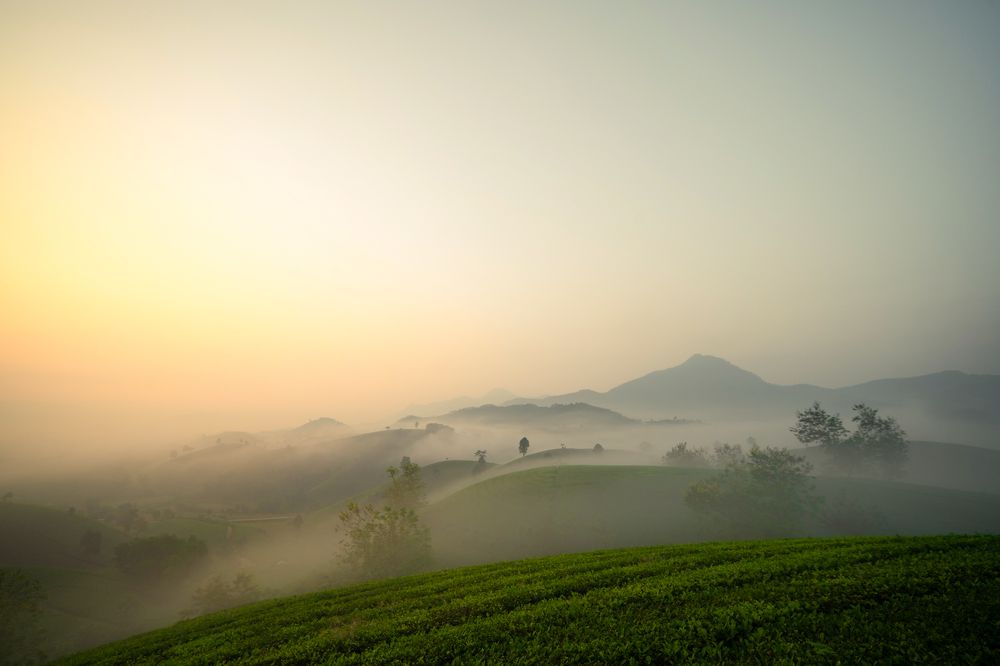 Фотография автора Luong Cung