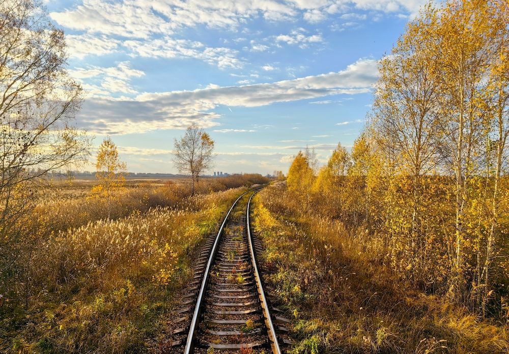 Photograph by Алексей Серков