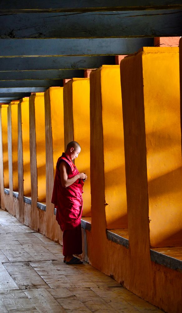 Photograph by Indranil Saha