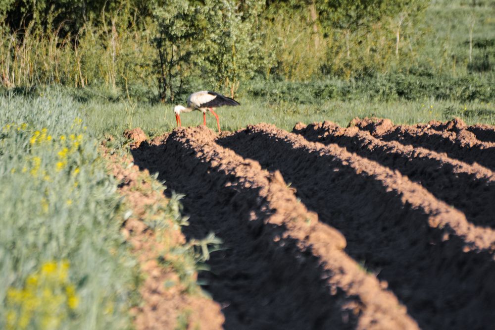 Photograph by Анастасия Гурова