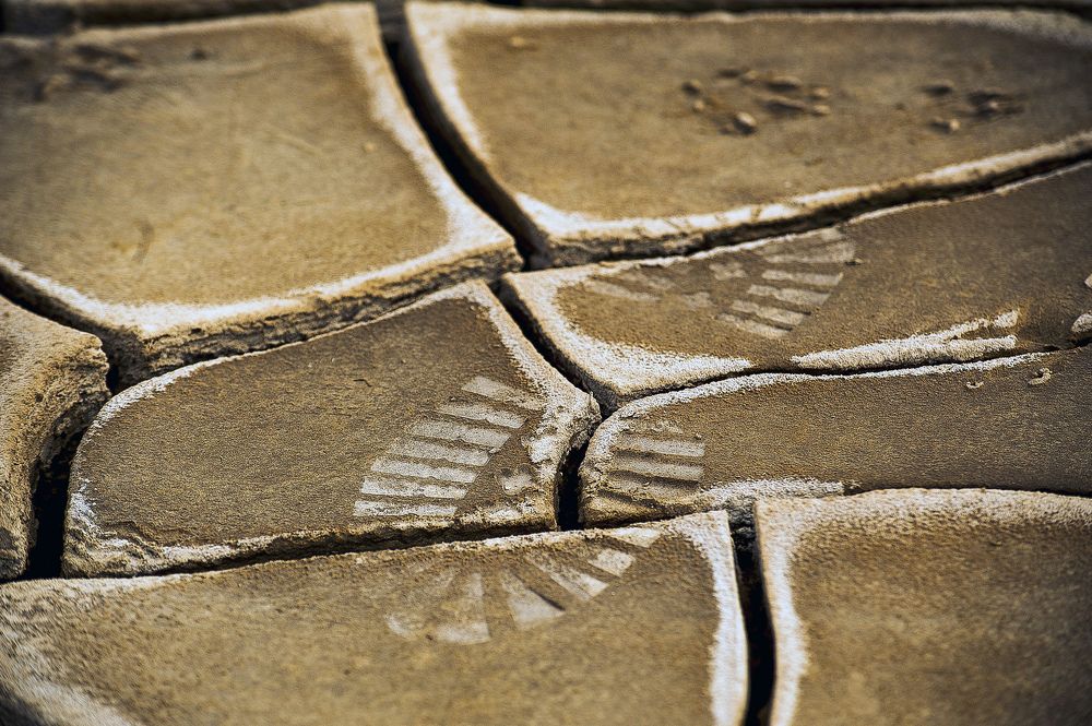 Photograph by DAMOUN POURNEMATI