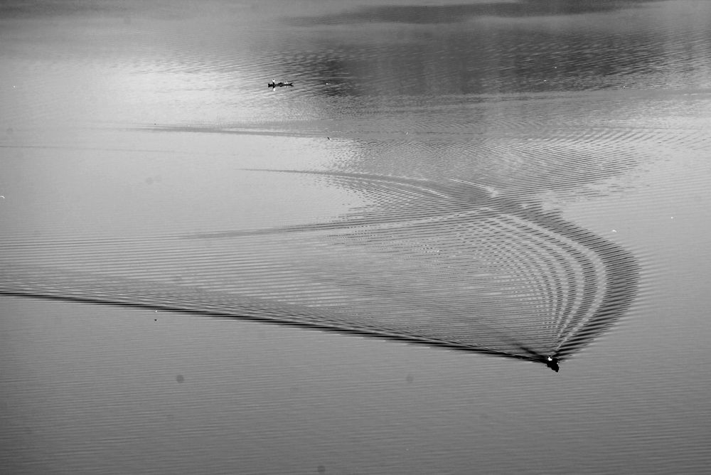 Photograph by PERESHEIN ANDREY