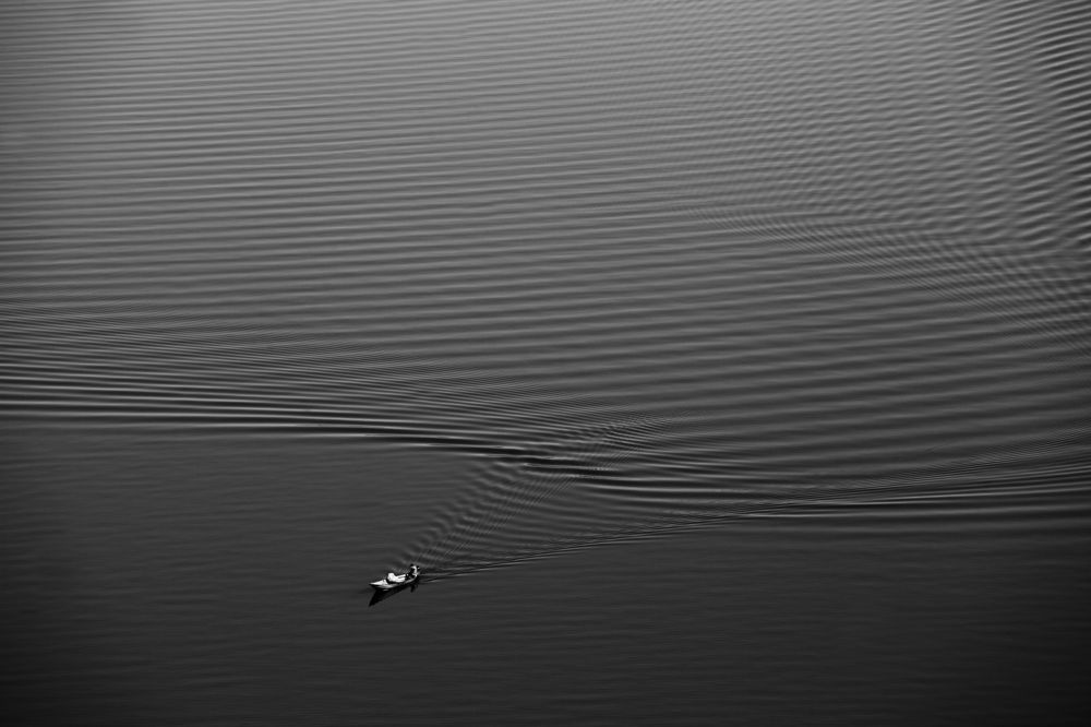 Photograph by PERESHEIN ANDREY