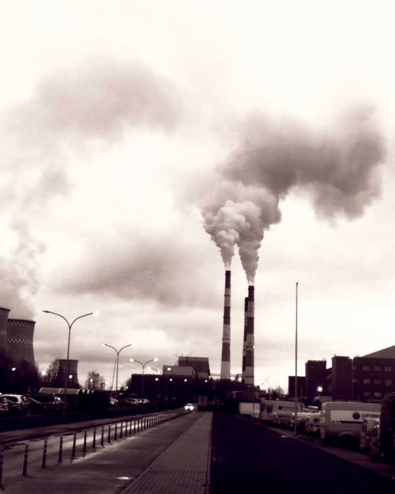 Photograph by Maria Stankevich