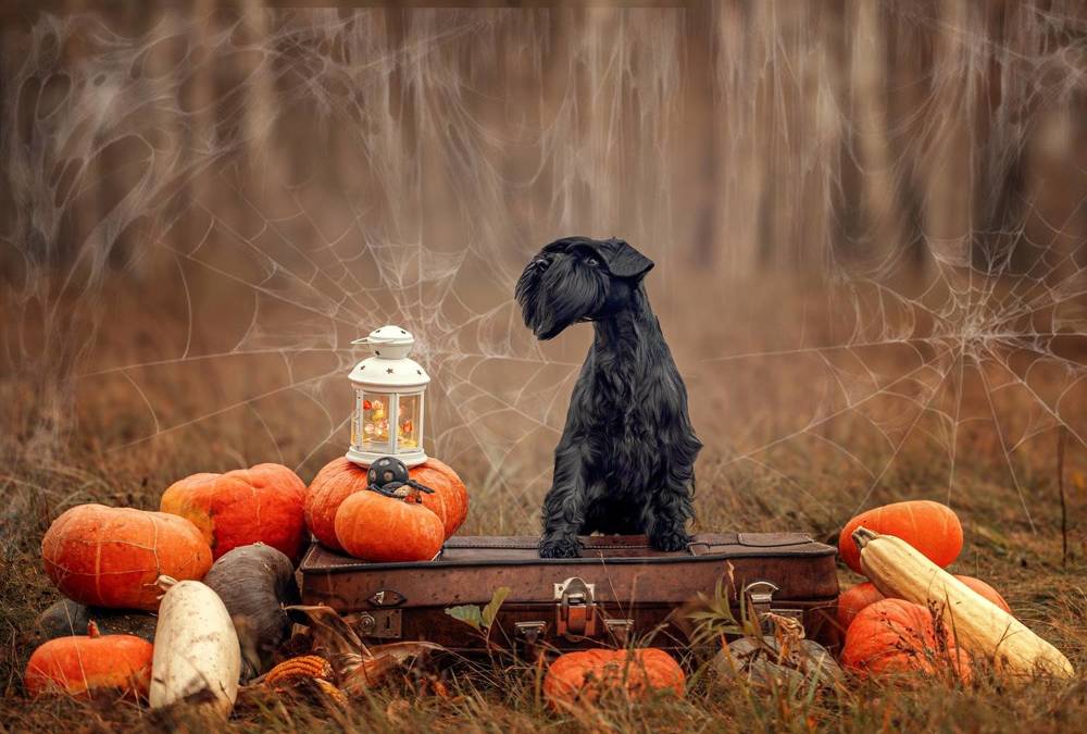 Photograph by Милана Бабченко