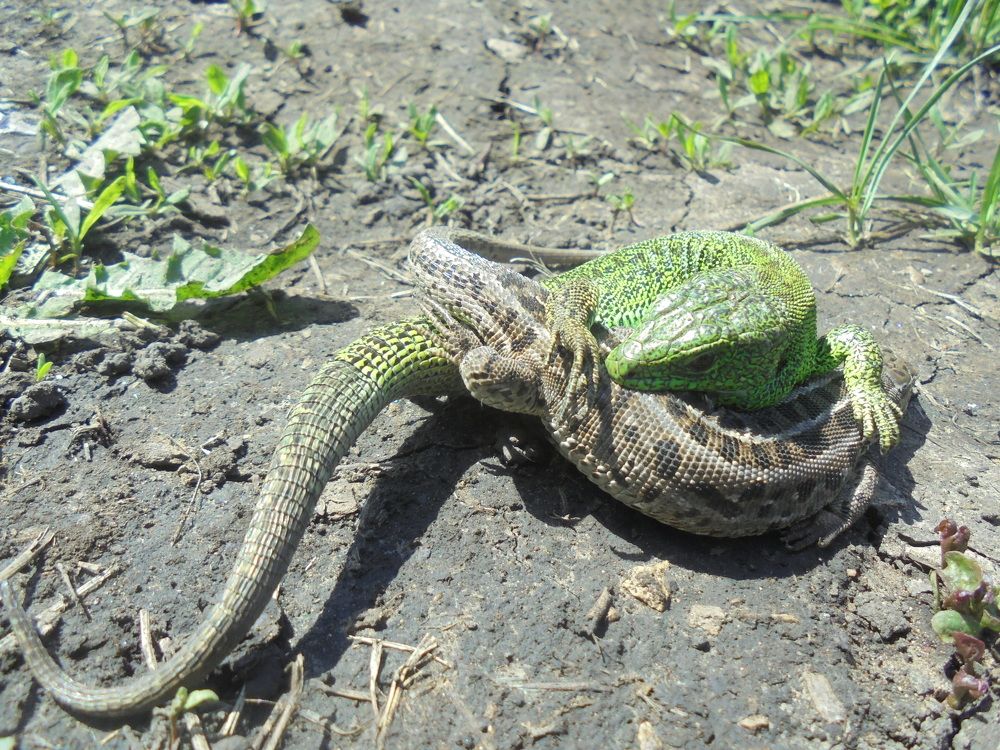 Photograph by Лилия Исхакова