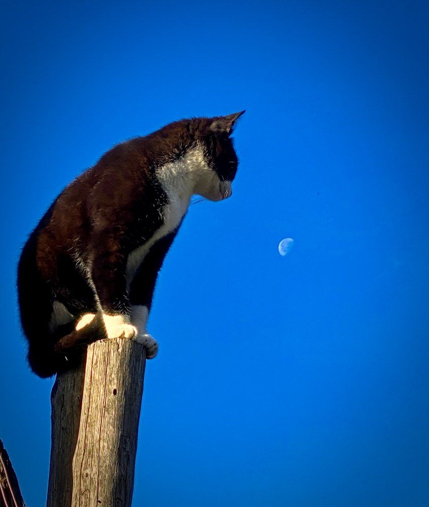 Photograph by Stoyan Baev