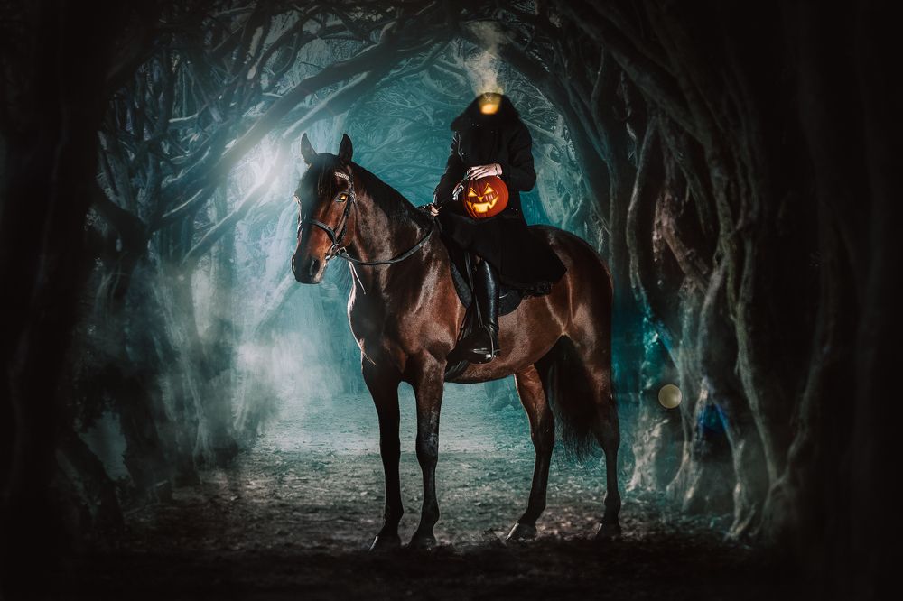 Фотография автора Nadina Ironia