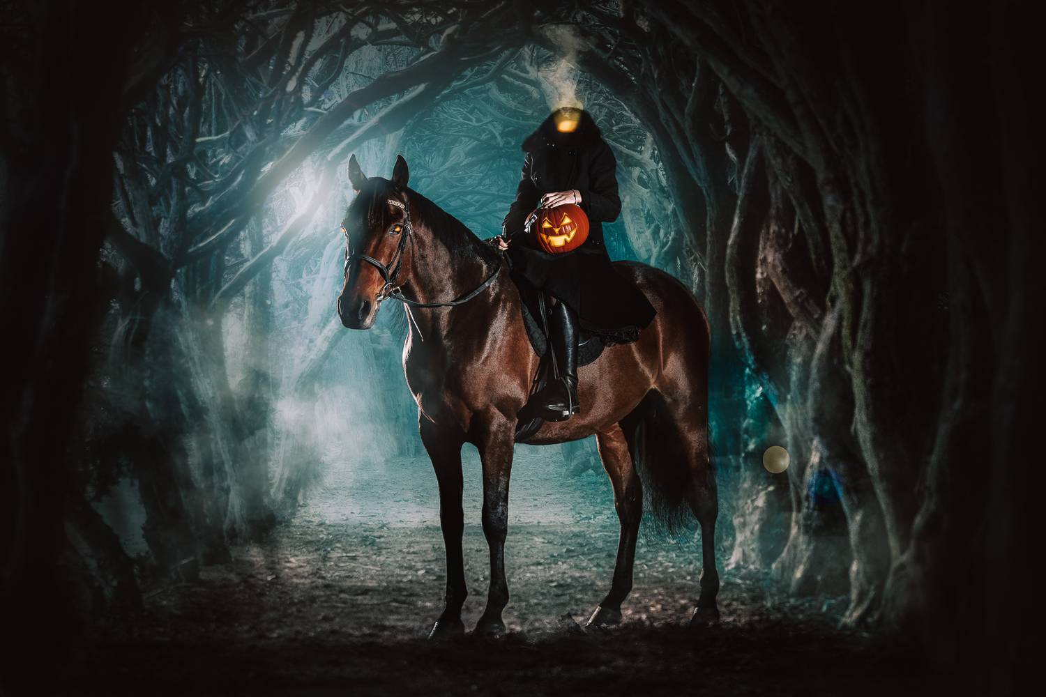 Фотография #11277017