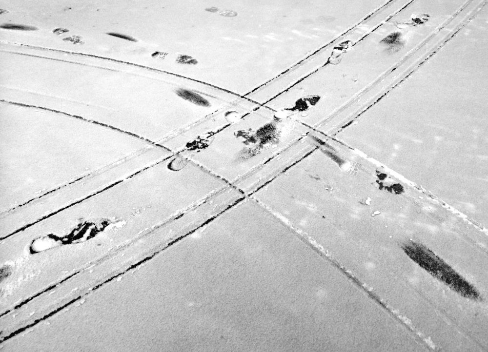 Photograph by Михаил Янкин