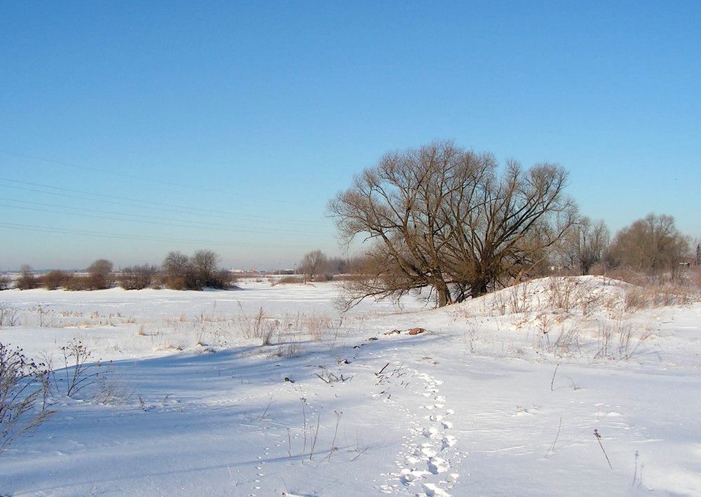 Photograph by Людмила Павловна