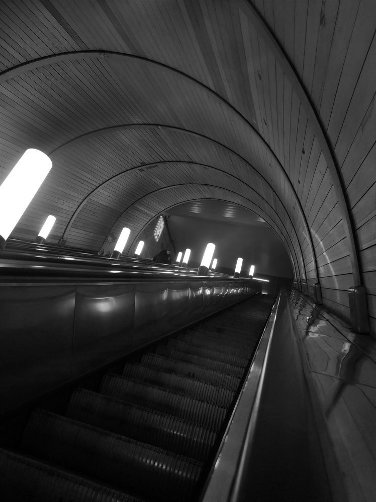 Photograph by Елена Попова