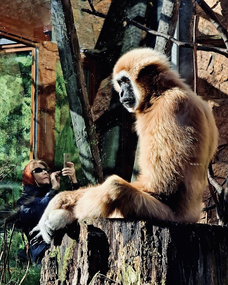 Photograph by Елена Маркова