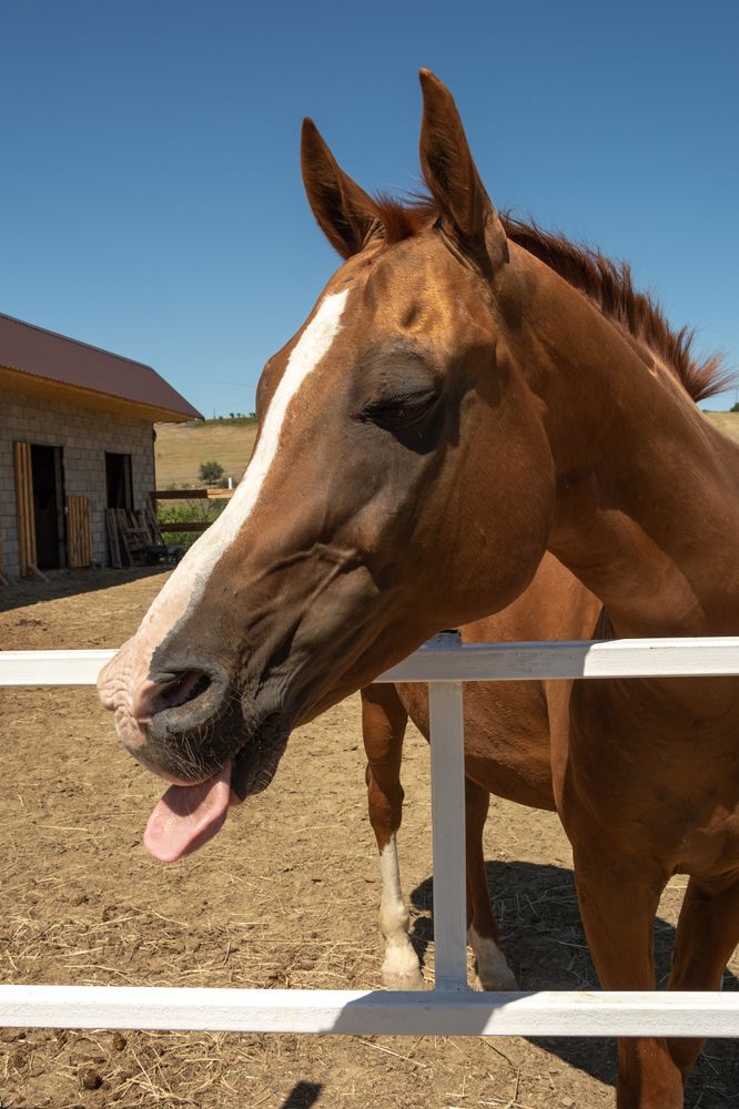 Photograph by Ольга Салтыкова