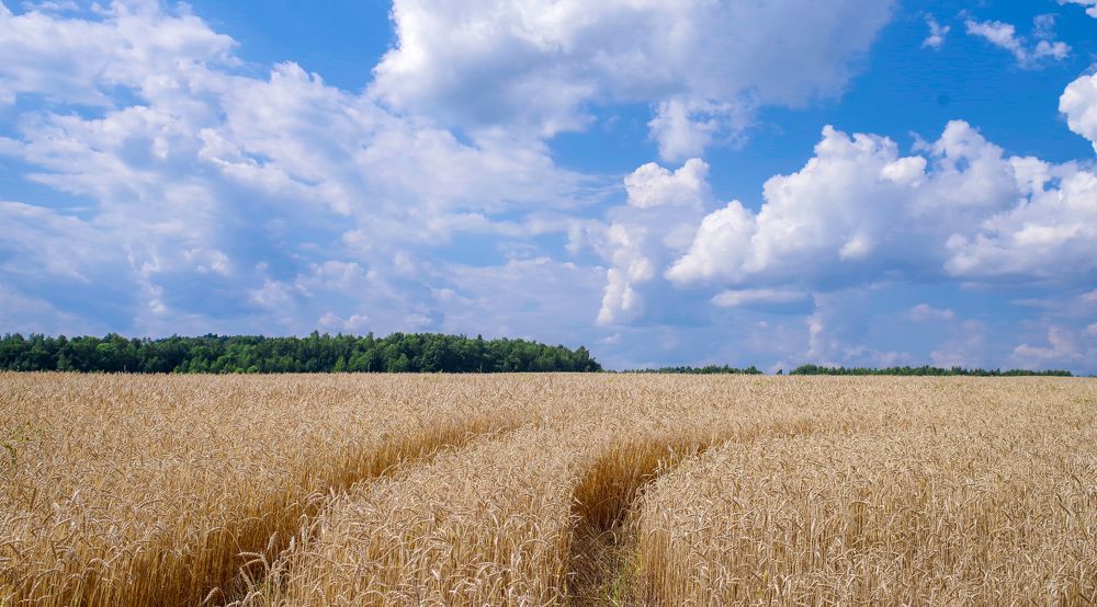 Photograph by Александр Трошин