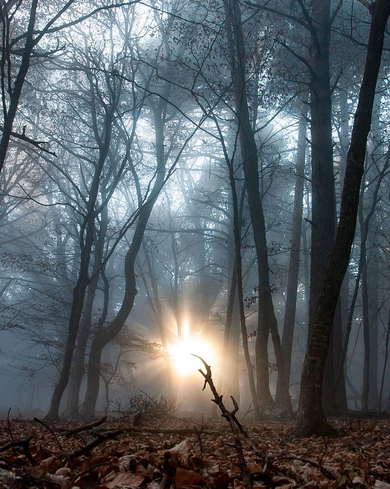 Photograph by Nikolai