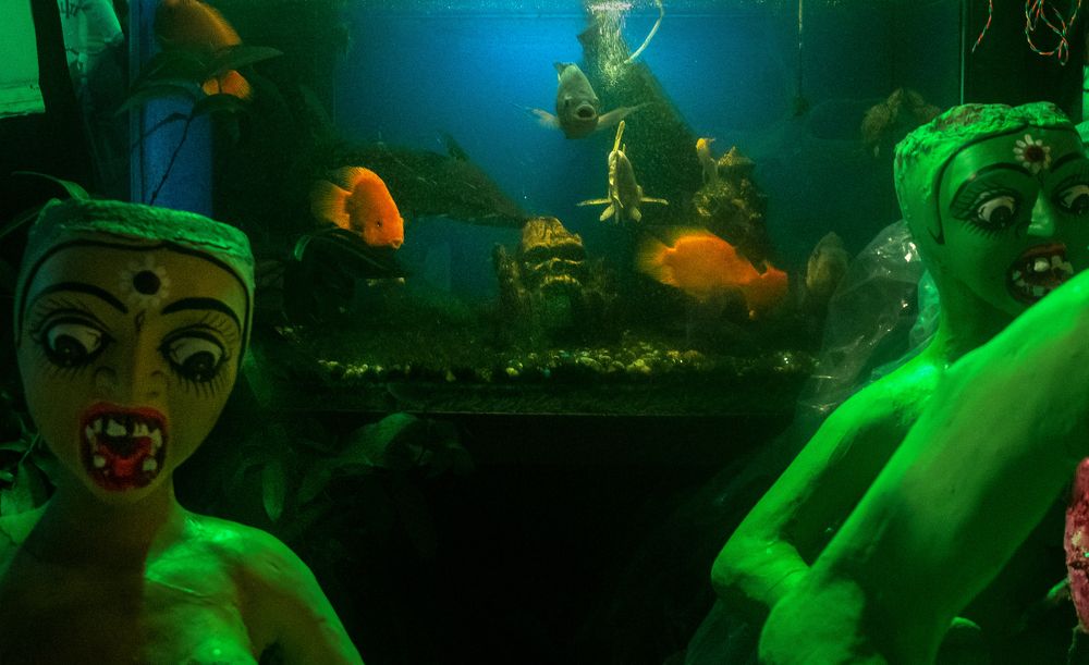 Photograph by saikat chanda