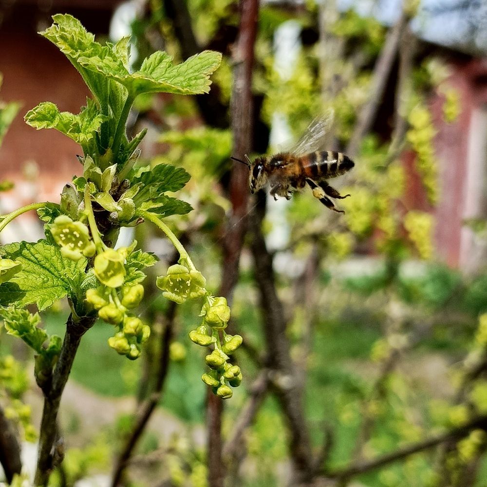Фотография автора Татьяна Антонова