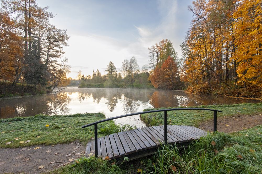 Photograph by Георгий Сапожников