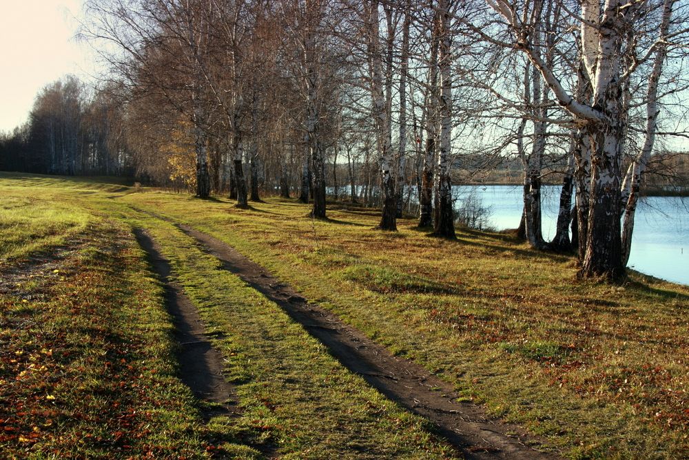 Фотография автора Nelya  Lysenko