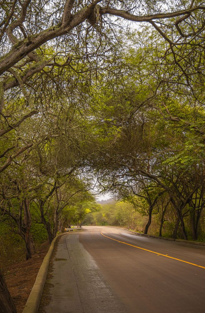 Photograph by Susie Castellano