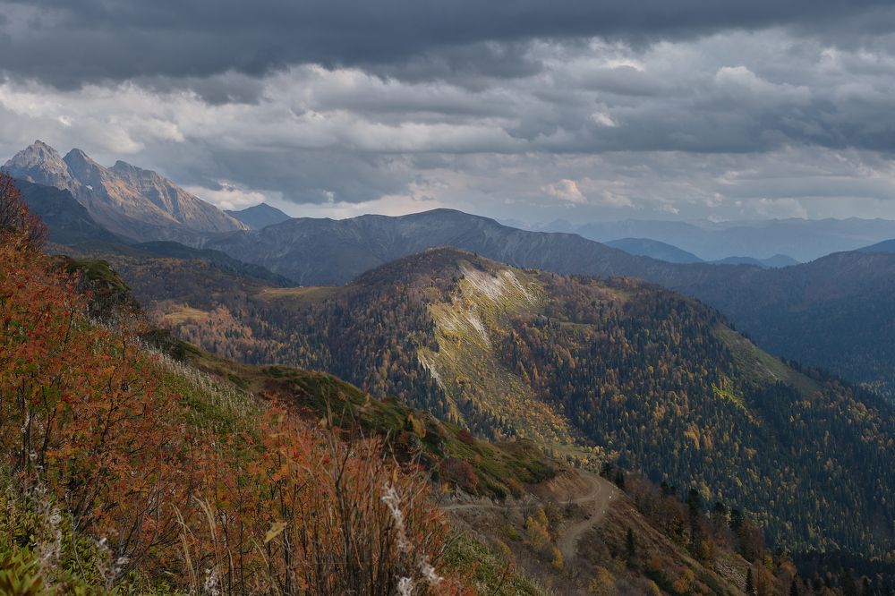 Photograph by Василий Арлашов