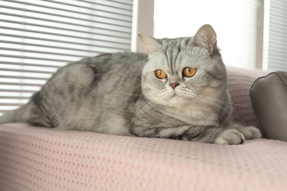 Photograph by Анастасия Солодкая