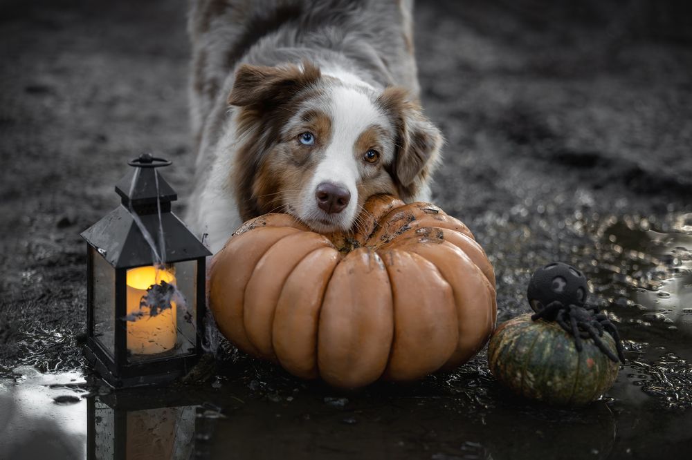 Photograph by Ирина Голомб