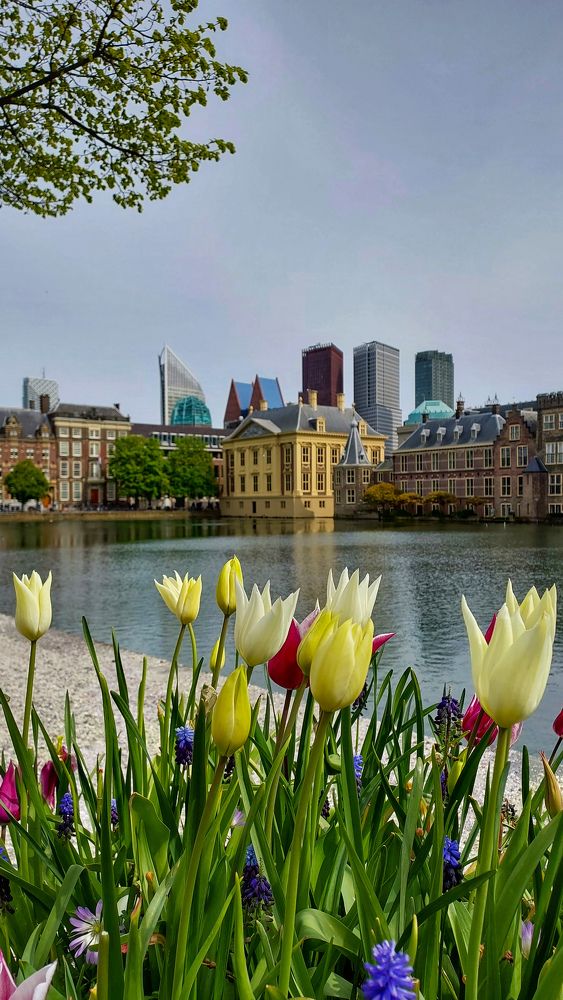 Photograph by Наталия Дроздова