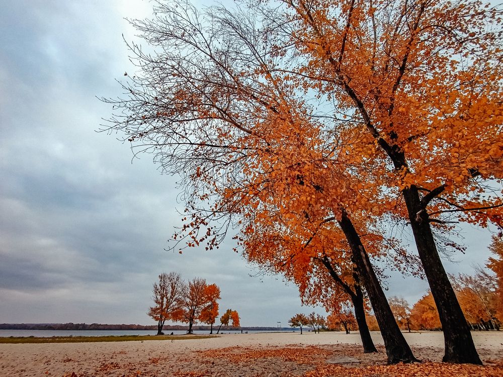 Photograph by Юлия Жукова