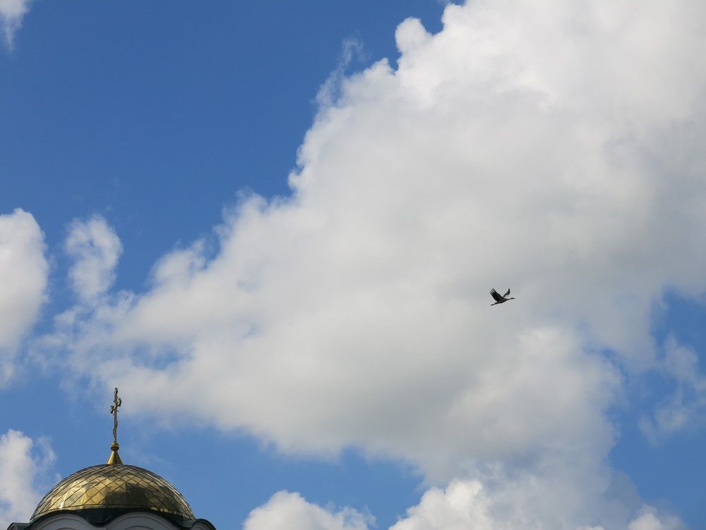 Photograph by ЭЛЬМИРА  ИСМАИЛОВА