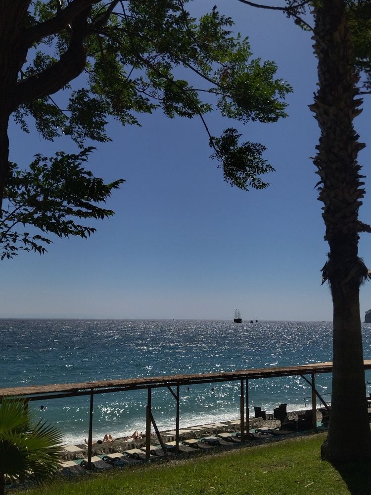 Photo #11277667