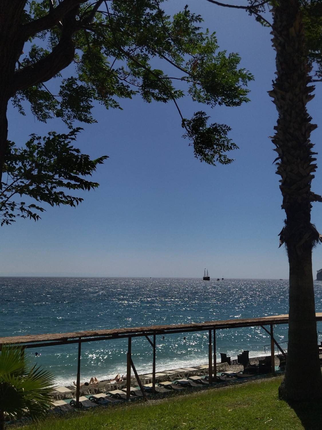 Photo #11277667