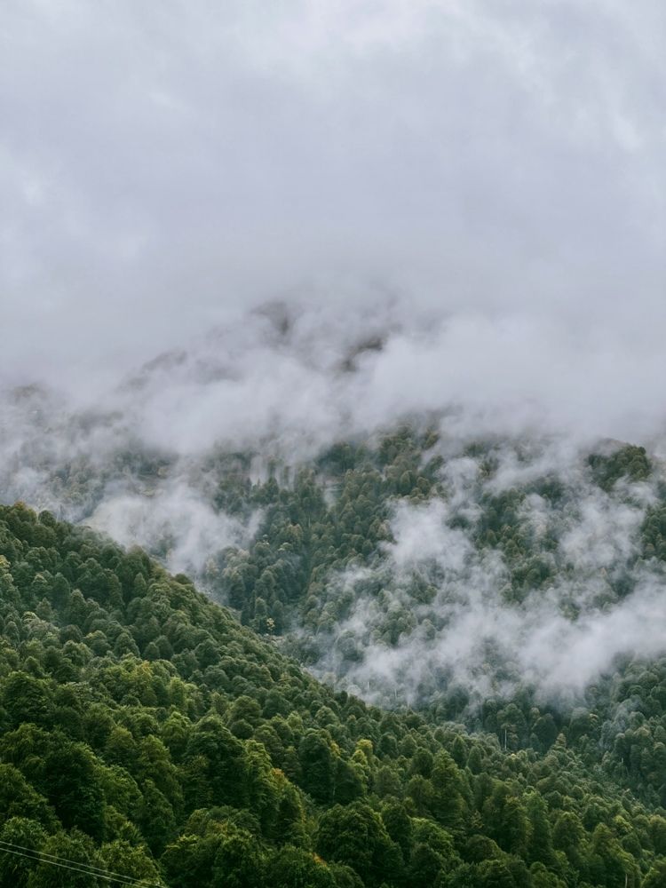 Photograph by Дулова Анастасия