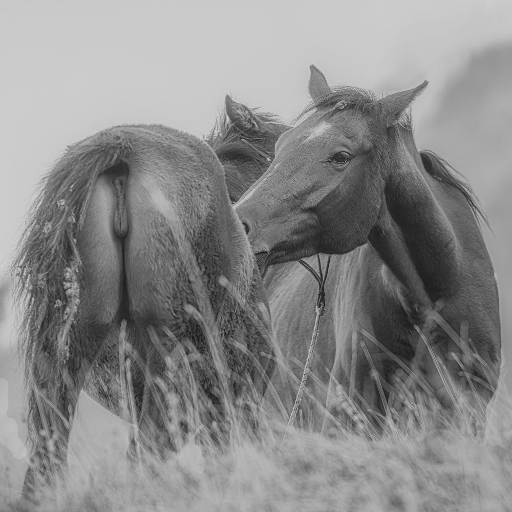 Photograph by Лазарев Сергей