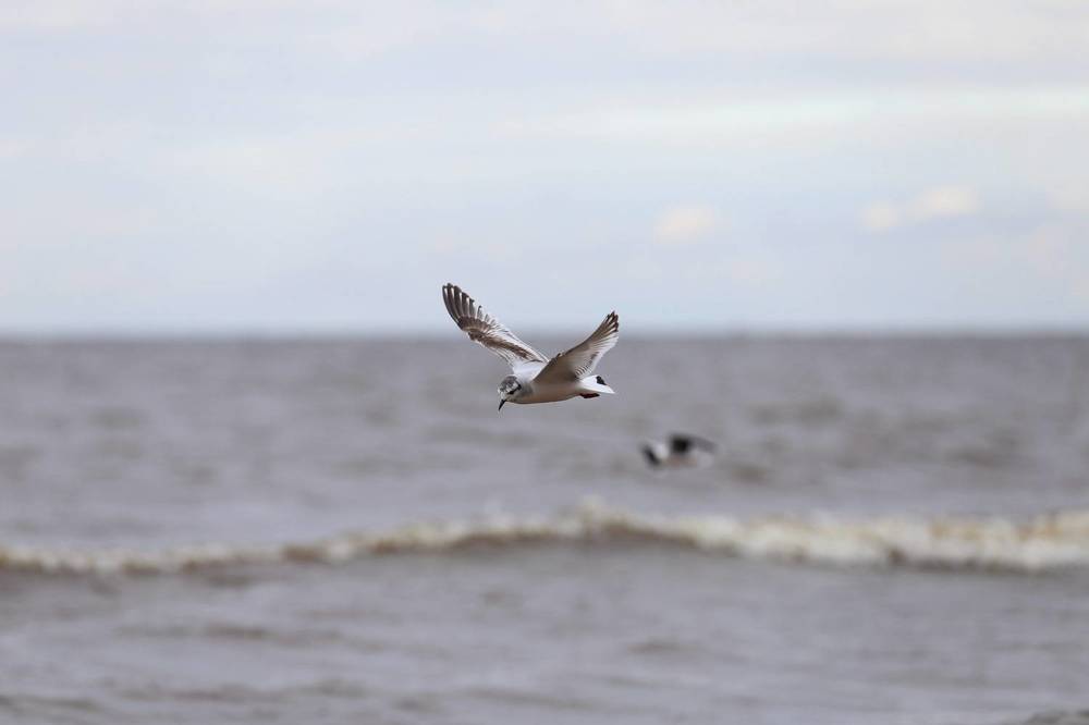 Photograph by Anatoliy Buyanov