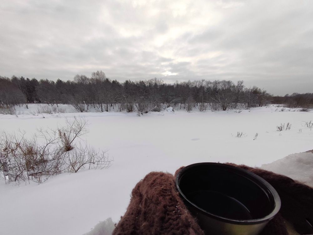Фотография автора Татьяна Алексеева