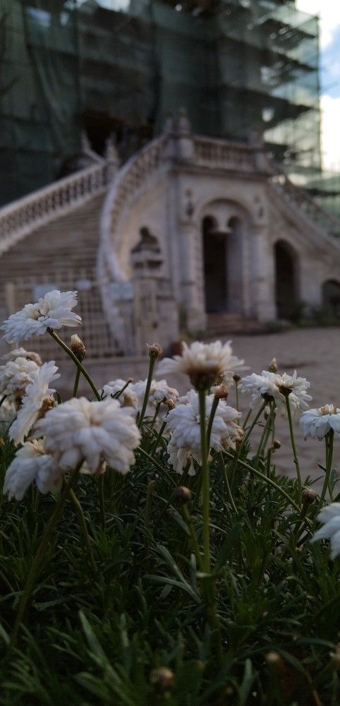 Photo #11277745