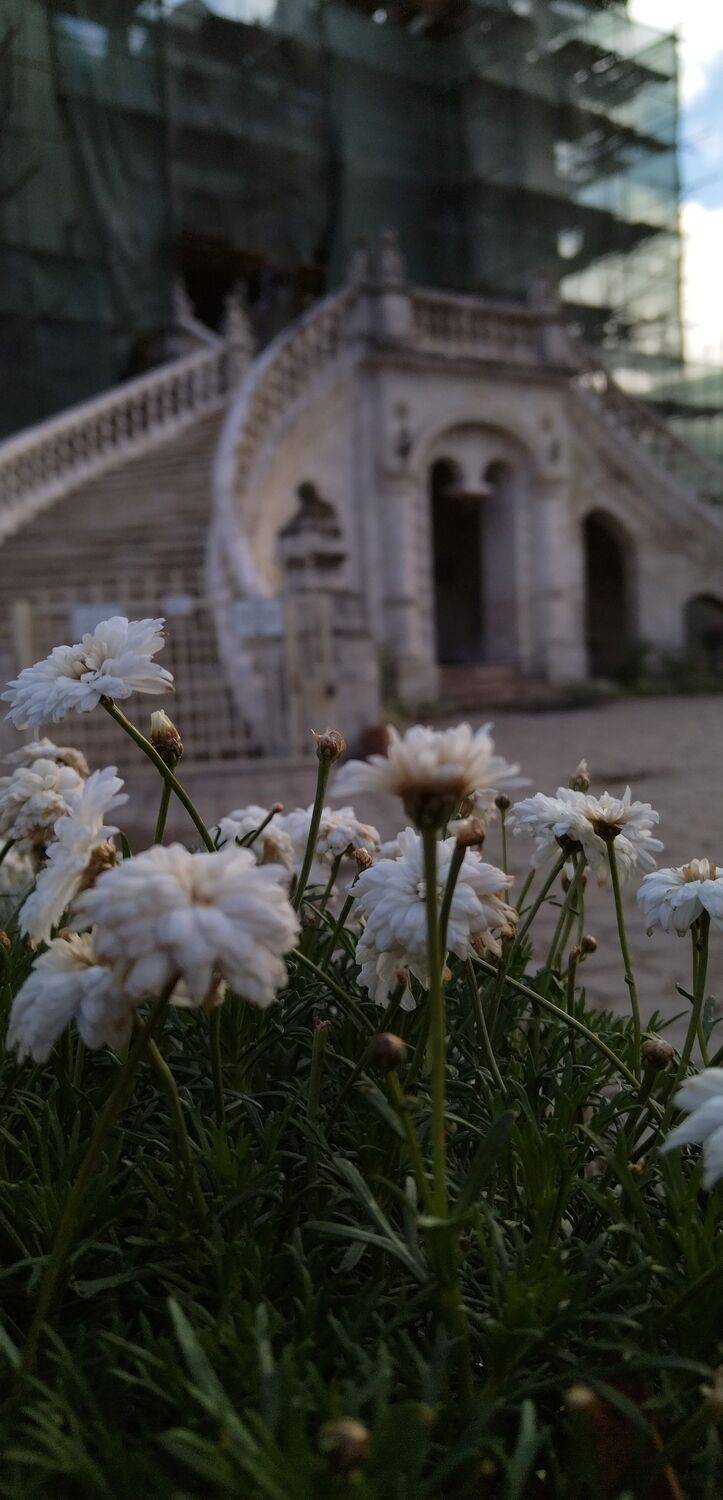Photo #11277745