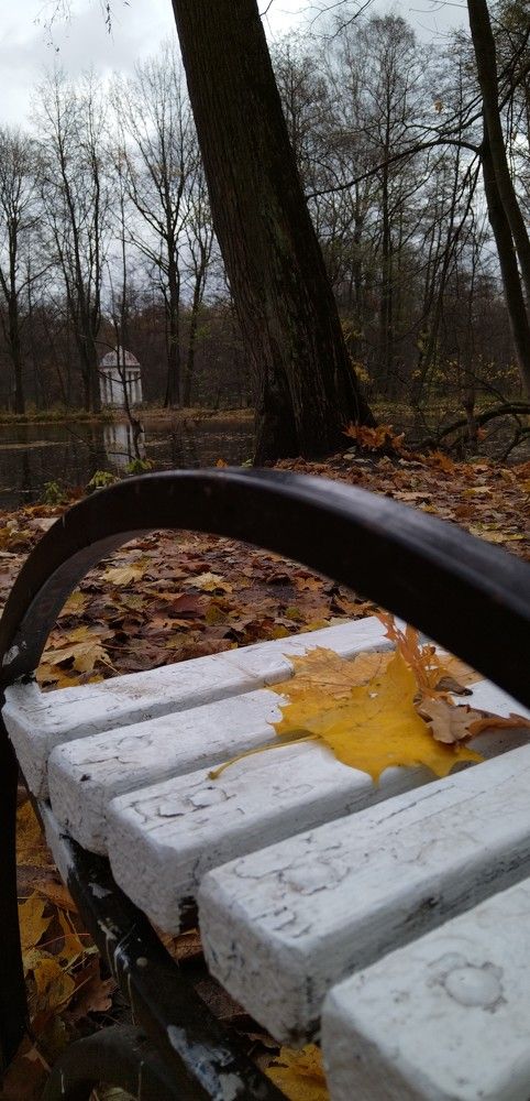 Photo #11277746