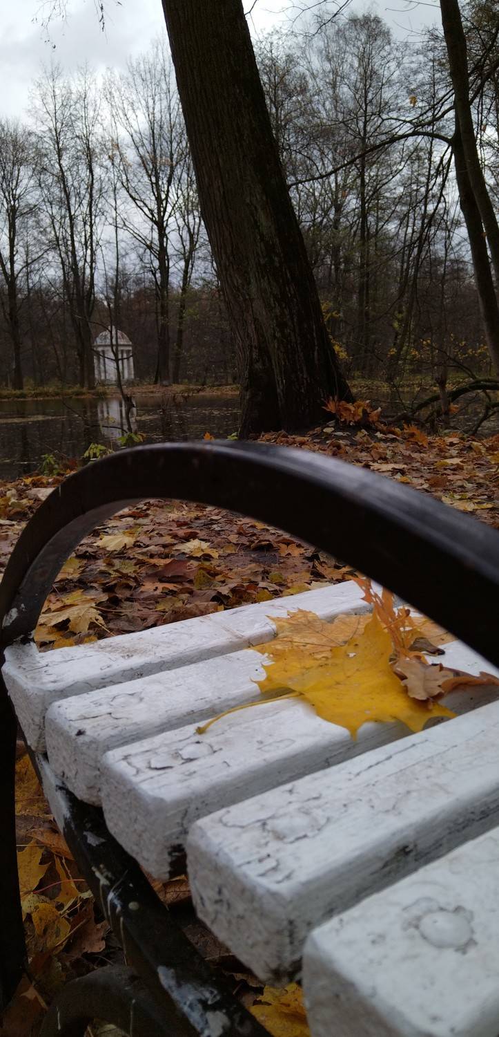 Photo #11277746