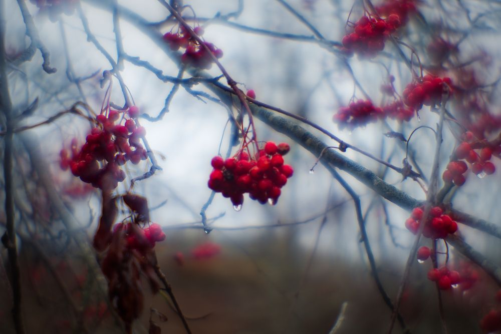 Photograph by Aleksei Degtjarjov