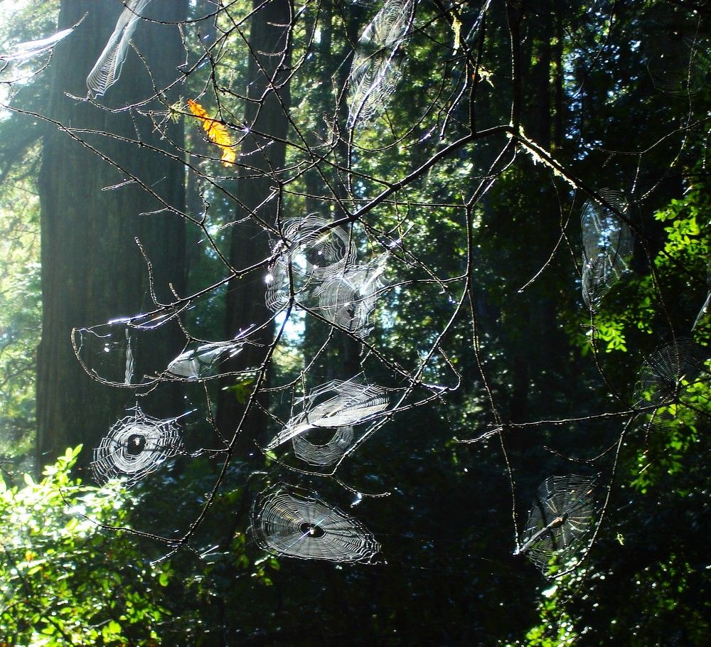 Photograph by Ирина Орлова