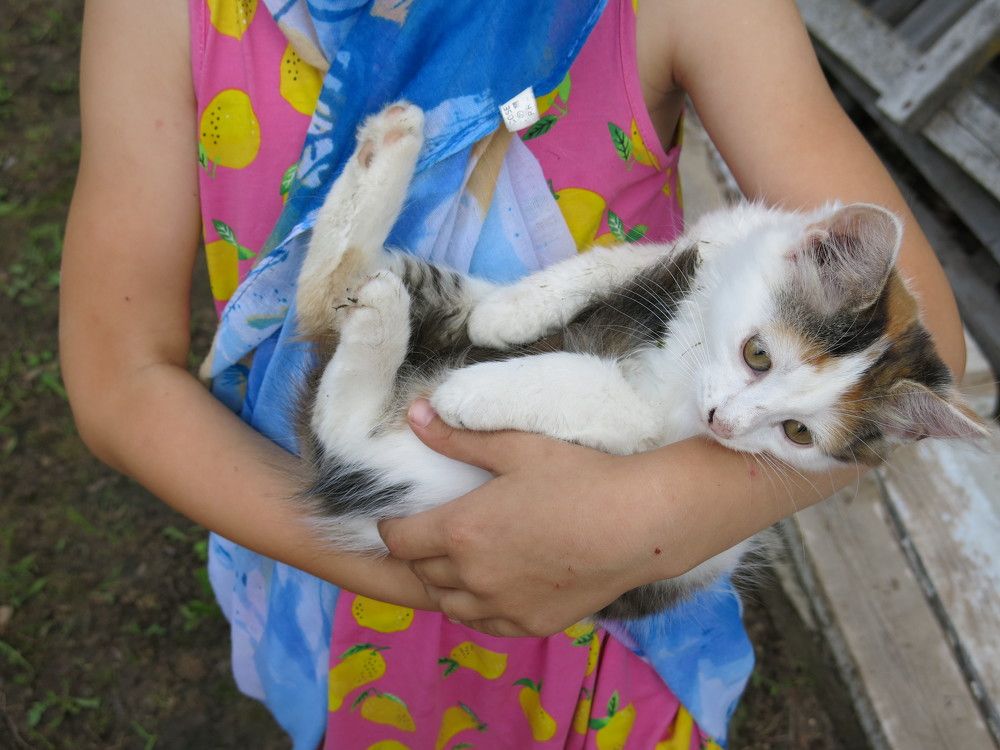 Photograph by ЭЛЬМИРА  ИСМАИЛОВА