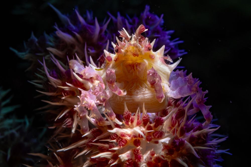 Photograph by Deniz muzaffer Gokmen