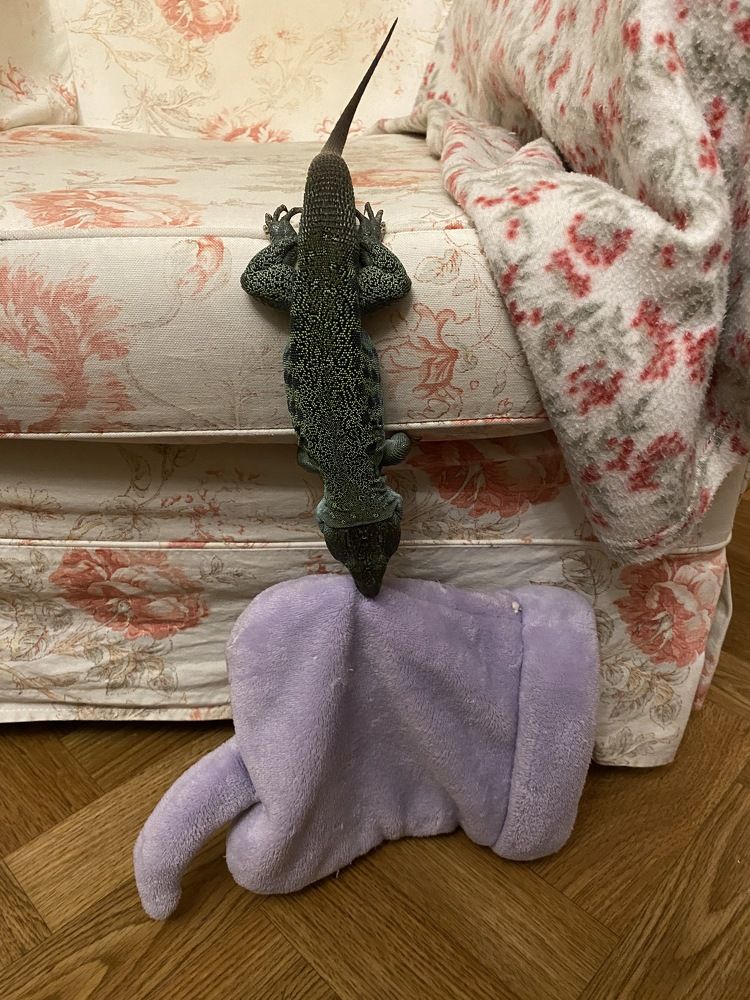 Photograph by Анна Шекурова