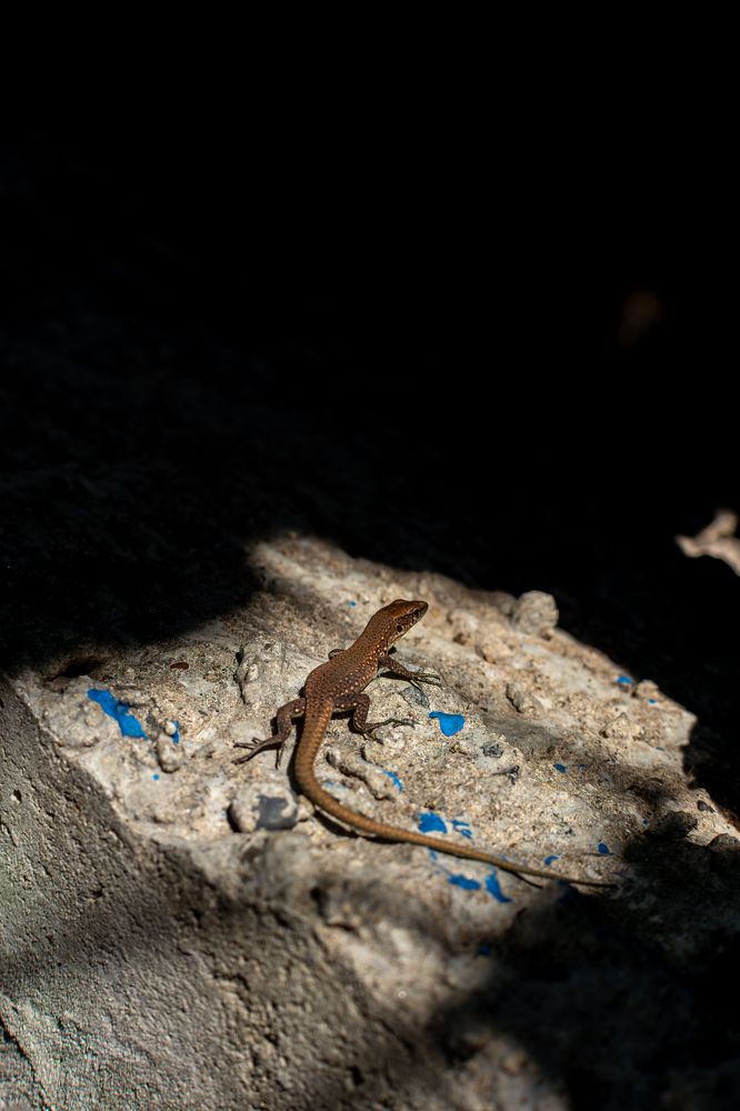 Photograph by Александр Свиблов