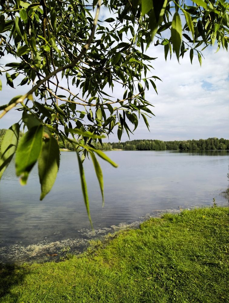 Photograph by Татьяна Миронова