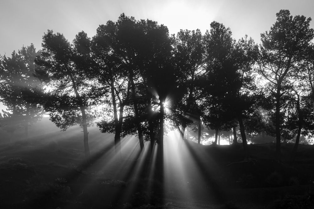 Photograph by bilal bilal