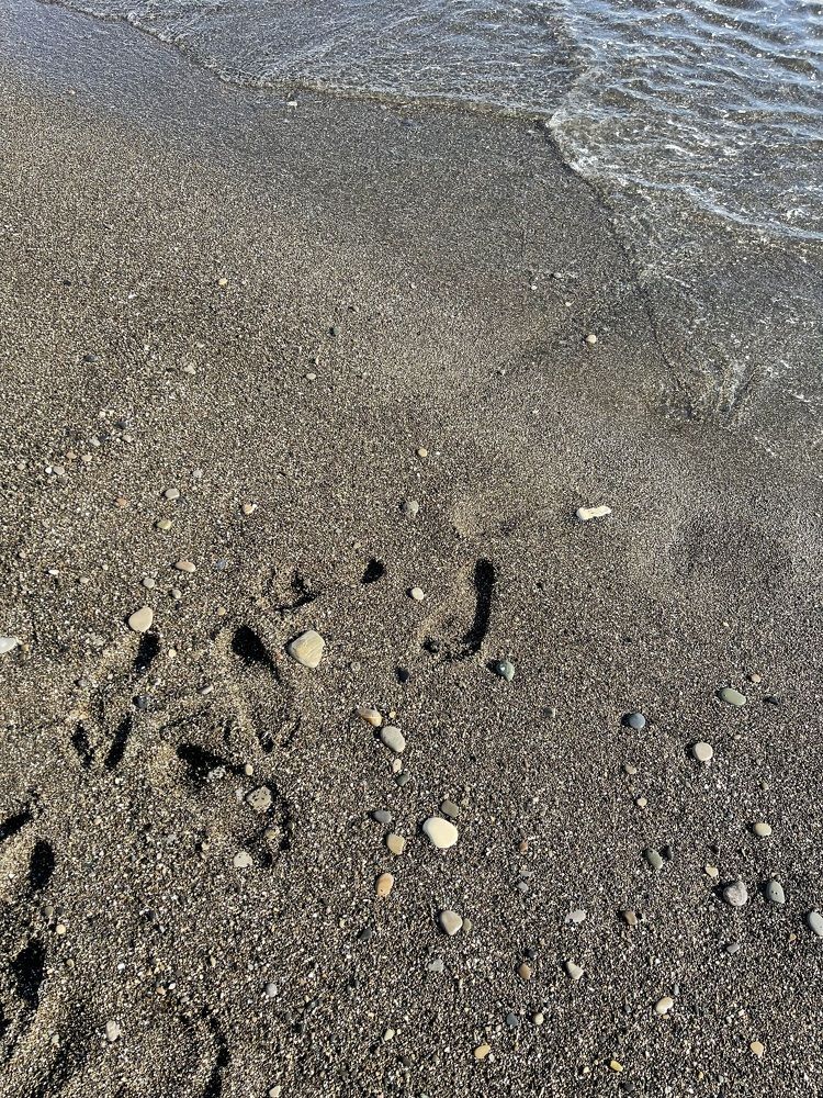 Photograph by Теодора Милекич